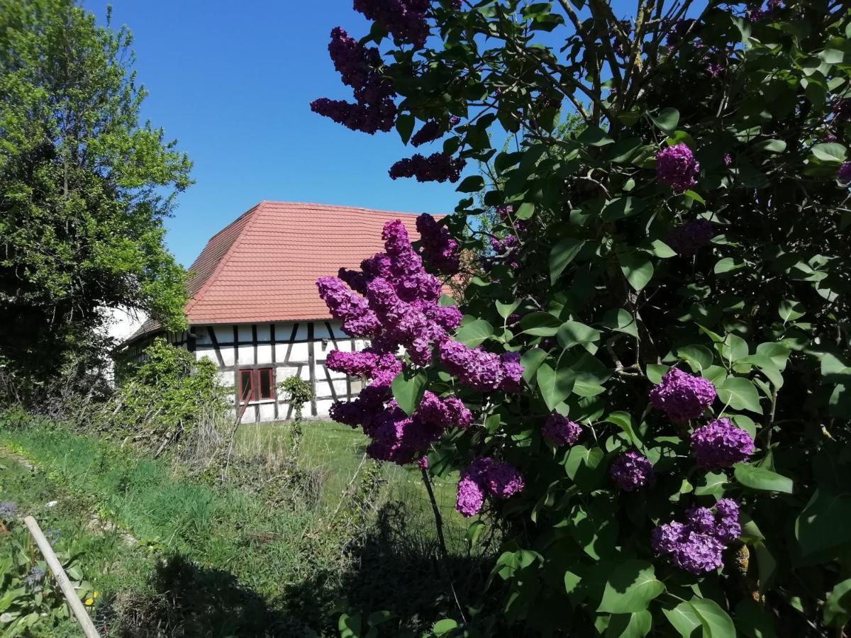 Gite Rue De L'Ange Hunspach Zewnętrze zdjęcie