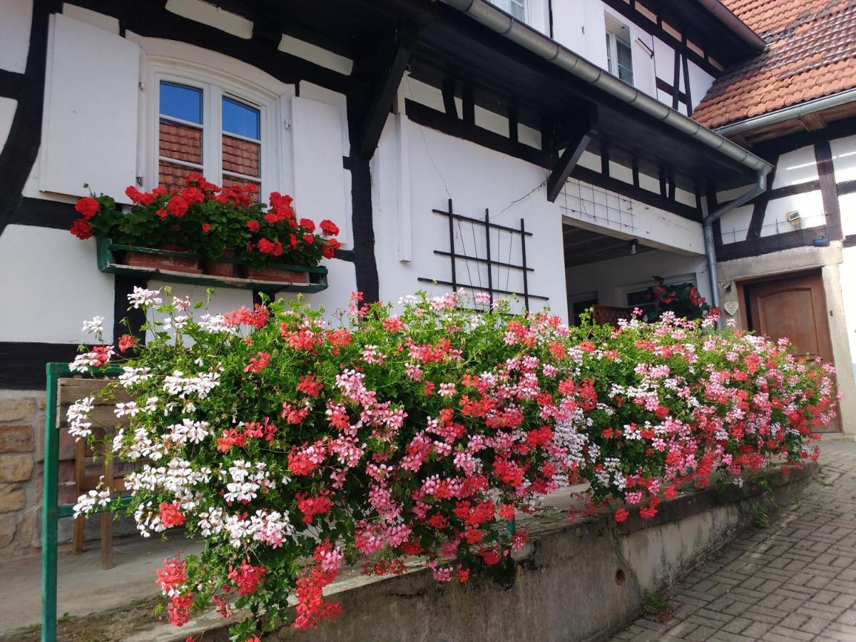Gite Rue De L'Ange Hunspach Zewnętrze zdjęcie
