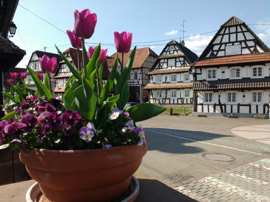 Gite Rue De L'Ange Hunspach Zewnętrze zdjęcie